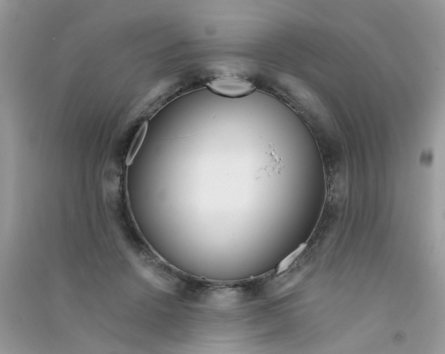 X0000090720456200708171930