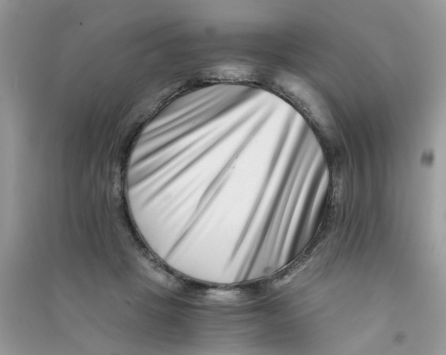 X0000090720457200708171930