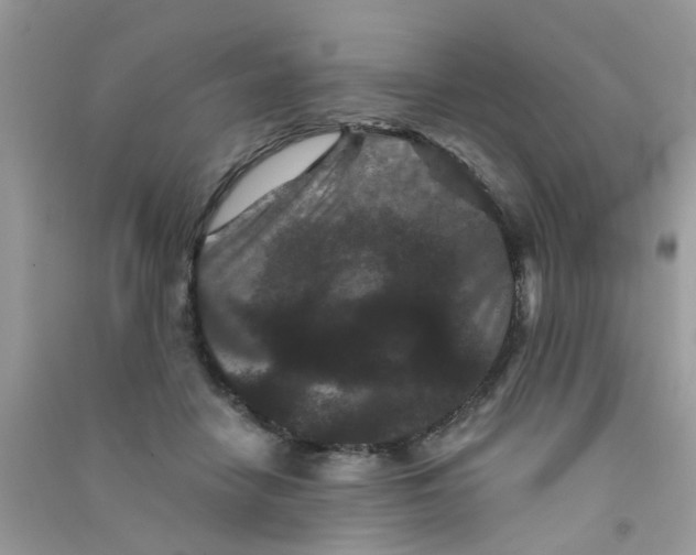 X0000090720458200708171930