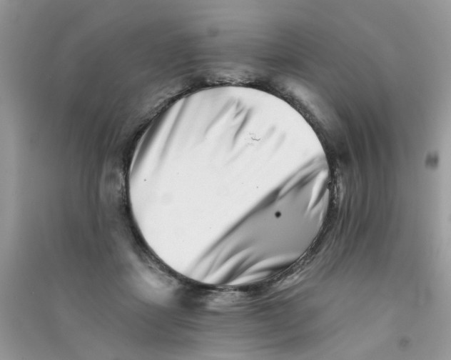 X0000090720459200708171930