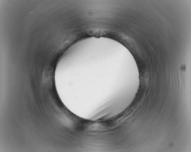 X0000090720460200708171930