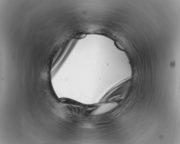 X0000090720461200708171930