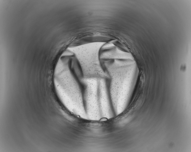 X0000090720462200708171930