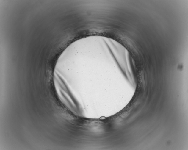 X0000090720463200708171930