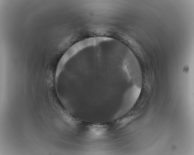 X0000090720465200708171930