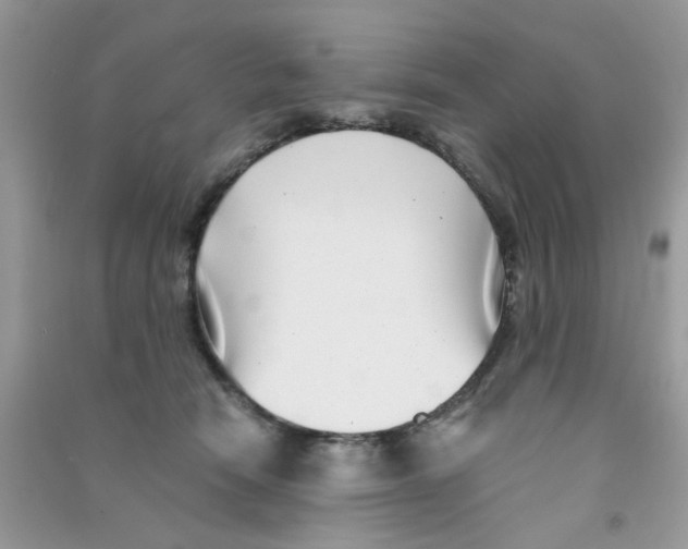 X0000090720466200708171930