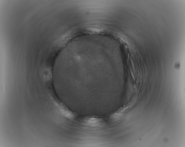 X0000090720467200708171930