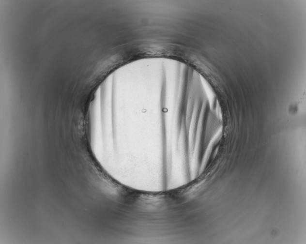 X0000090720469200708171930