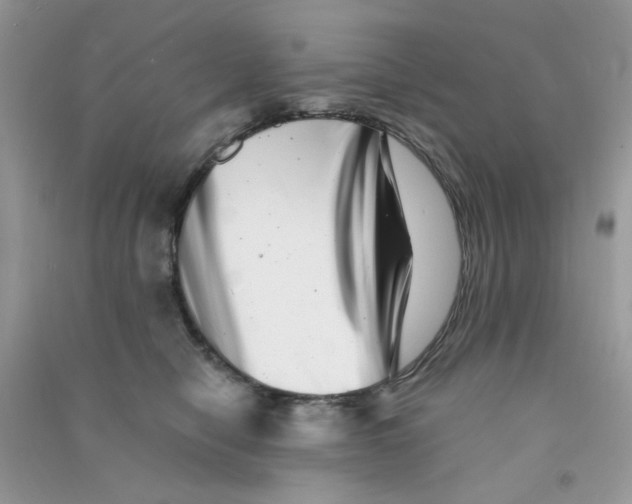 X0000090720470200708171930