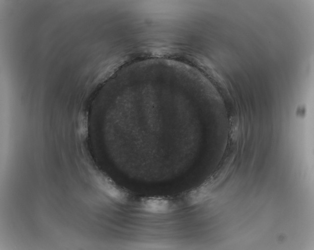 X0000090720471200708171930