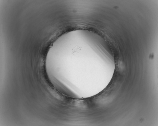 X0000090720472200708171930