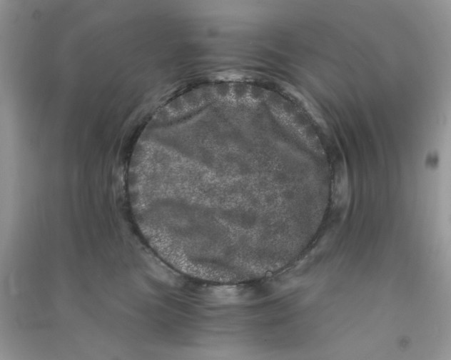 X0000090720473200708171930