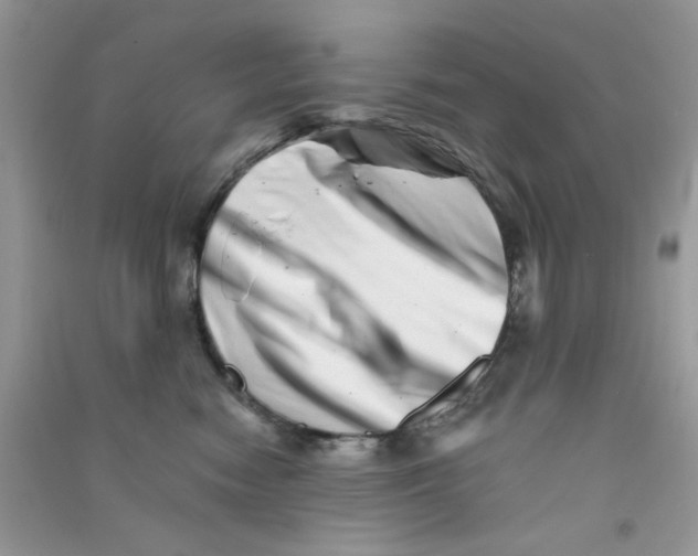 X0000090720474200708171930