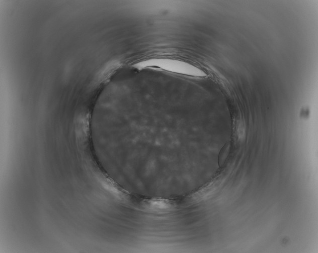 X0000090720475200708171930