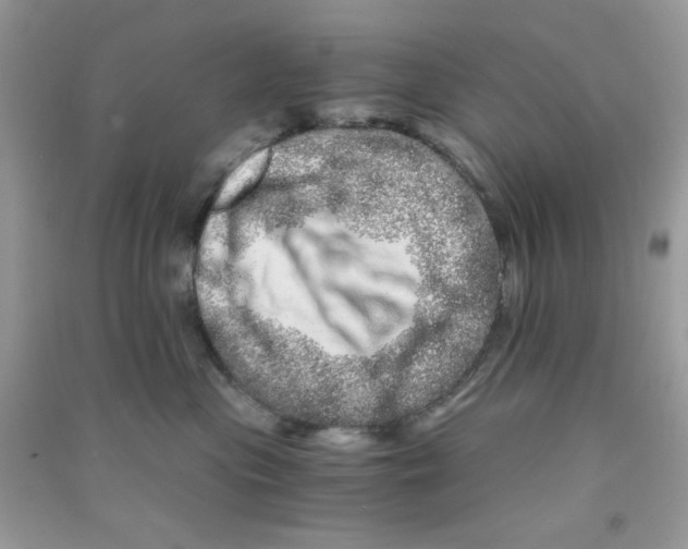 X0000090720477200708171930