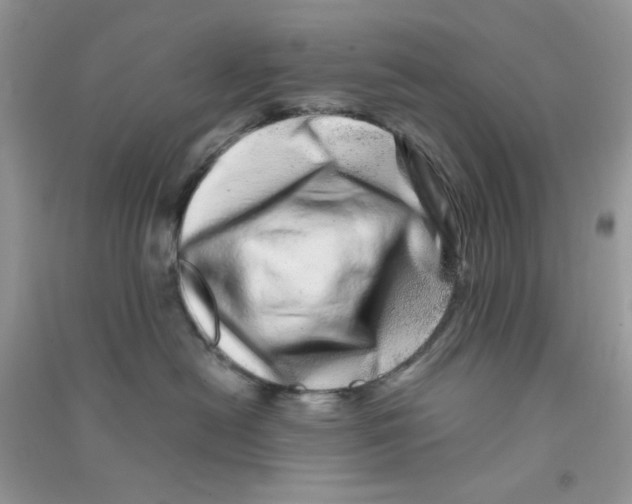 X0000090720478200708171930