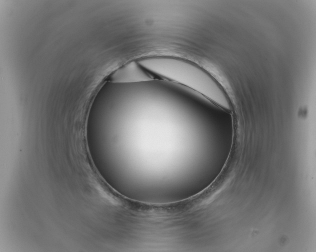 X0000090720481200708171930