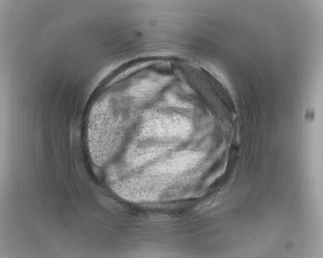 X0000090720483200708171930