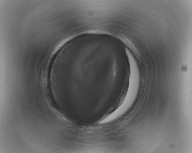 X0000090720484200708171929