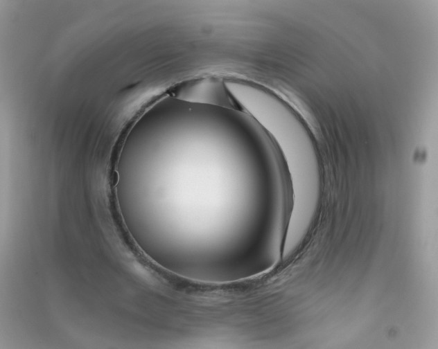 X0000090720485200708171929