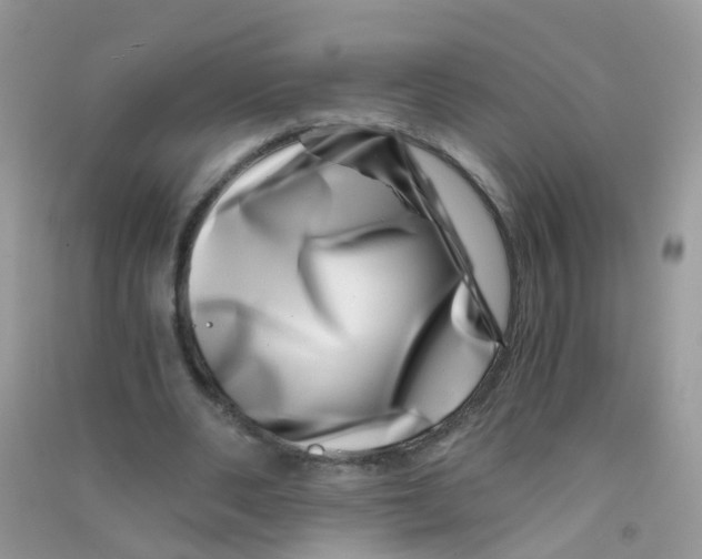 X0000090720486200708171929