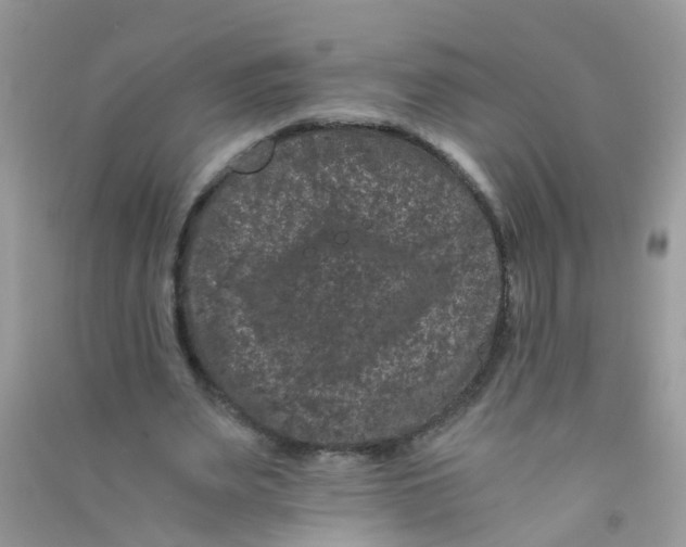 X0000090720487200708171929