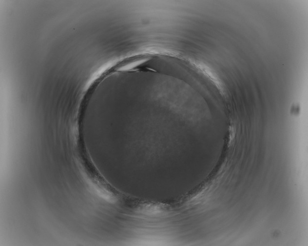 X0000090720488200708171929