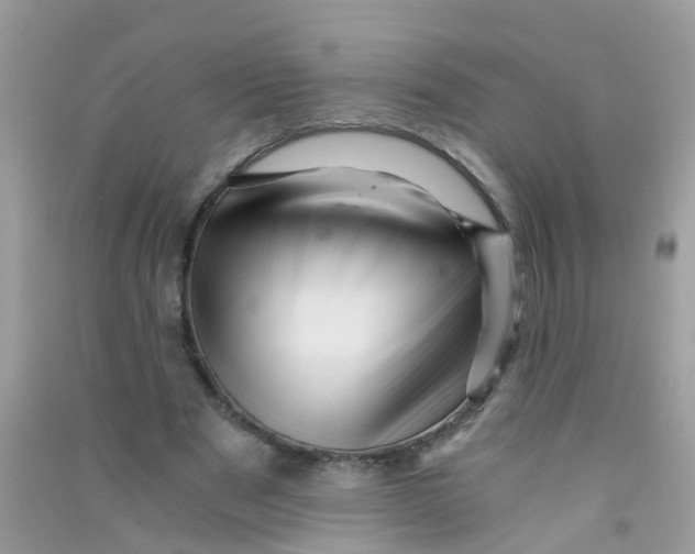 X0000090720489200708171929