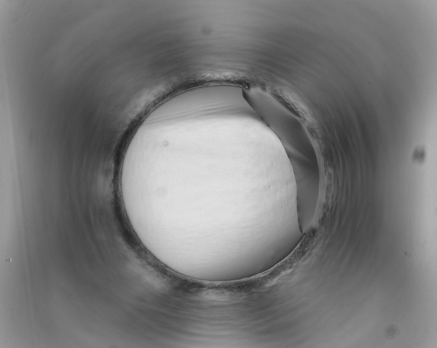 X0000090720490200708171929