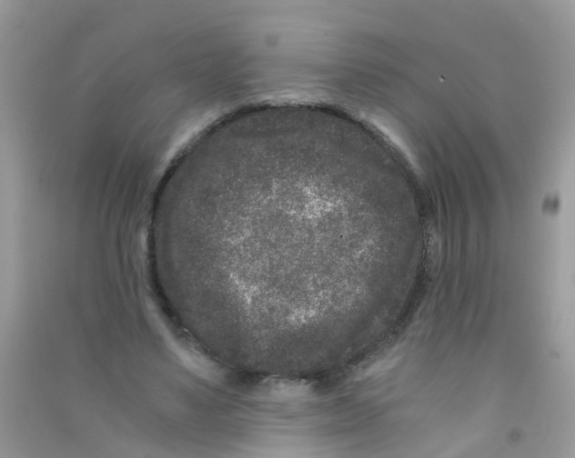 X0000090720491200708171929