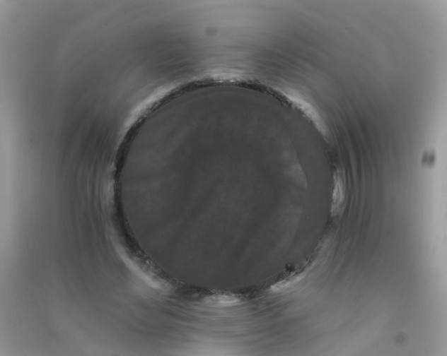 X0000090720492200708171929