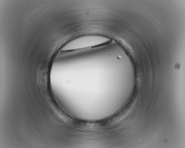 X0000090720493200708171929