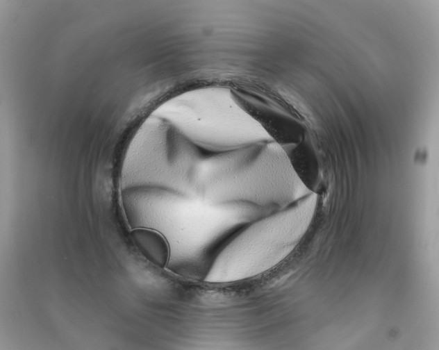 X0000090720494200708171929