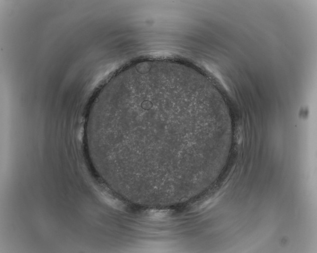 X0000090720495200708171929