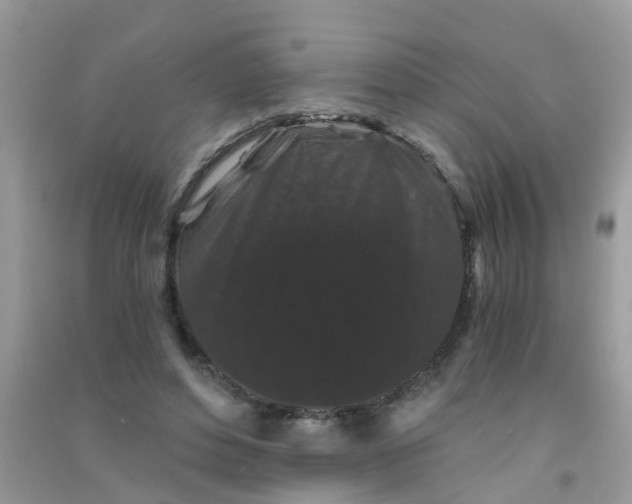 X0000090720496200708171929