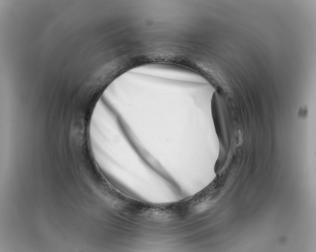 X0000090720498200708171929