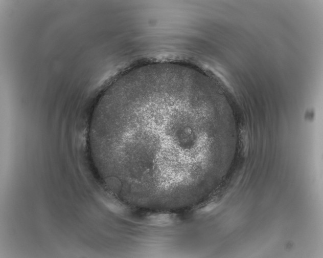 X0000090720499200708171929