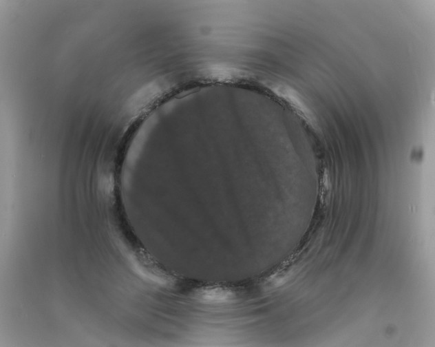 X0000090720500200708171929