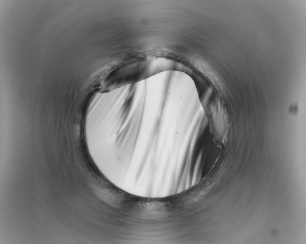 X0000090720501200708171929