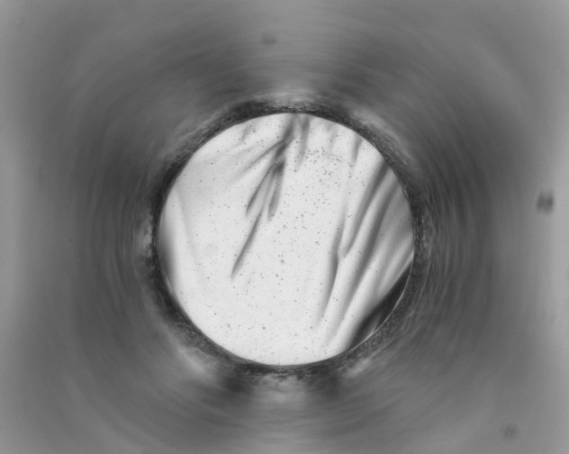 X0000090720502200708171929