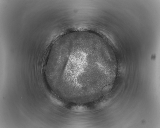 X0000090720503200708171929