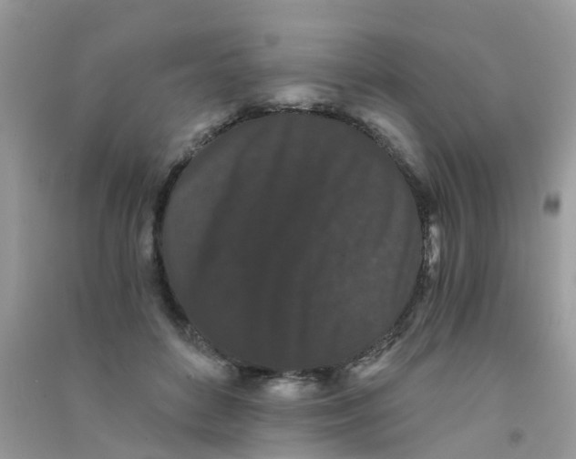 X0000090720504200708171929