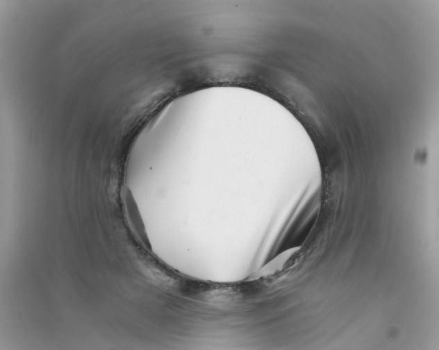 X0000090720505200708171929