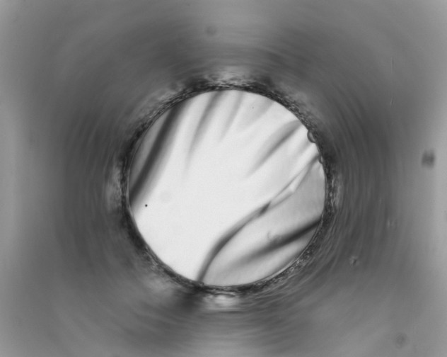 X0000090720506200708171929