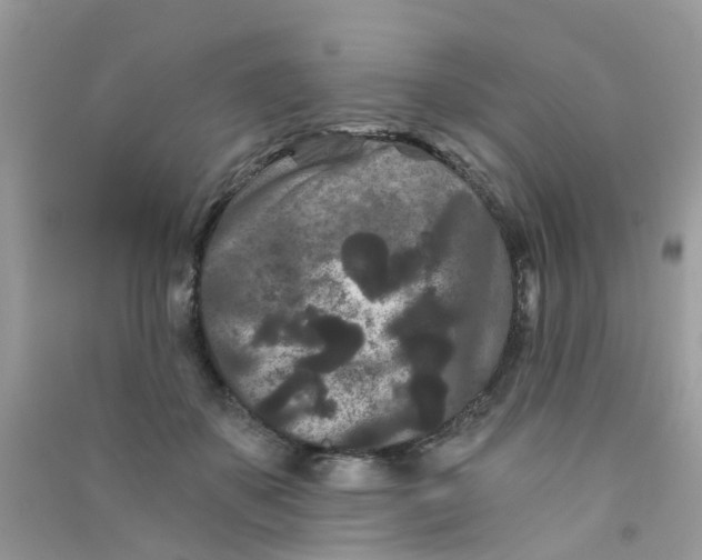 X0000090720507200708171929