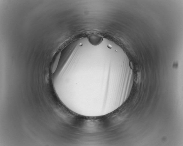 X0000090720508200708171929