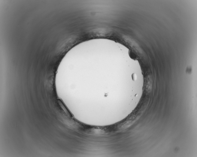 X0000090720509200708171929