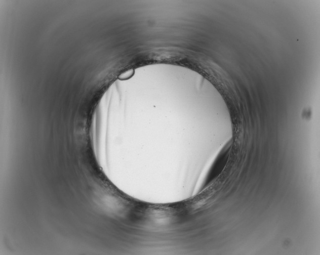 X0000090720510200708171929