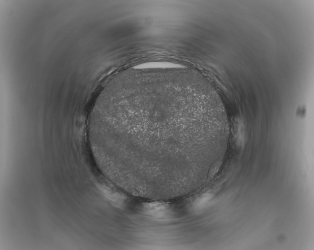 X0000090720511200708171929