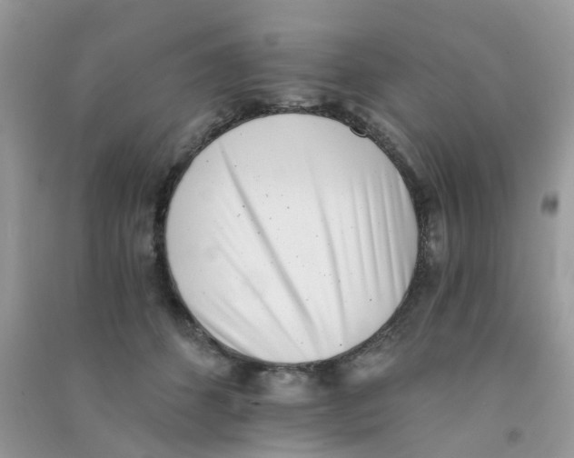 X0000090720512200708171929